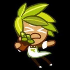 Meet your Posher, Kokirizo